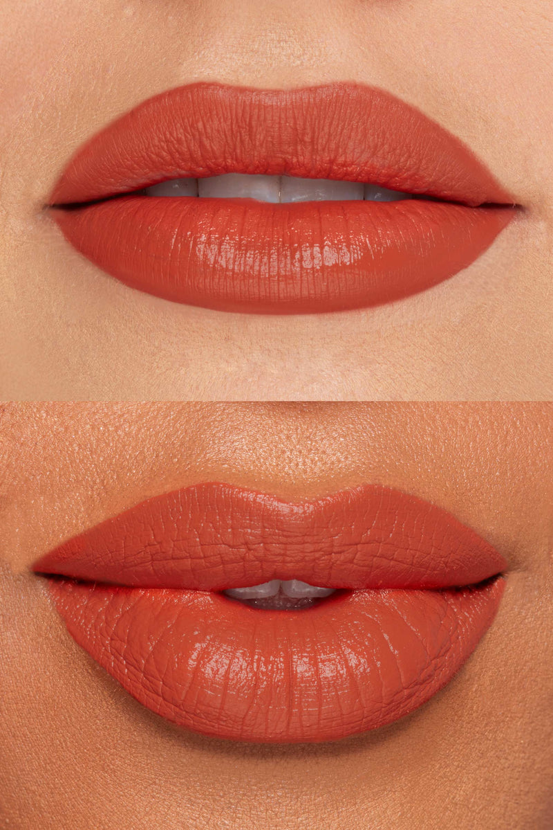 Supreme Slim Lipstick | Best Demi-Matte & Satin Finish Lipstick – Absolute  New York