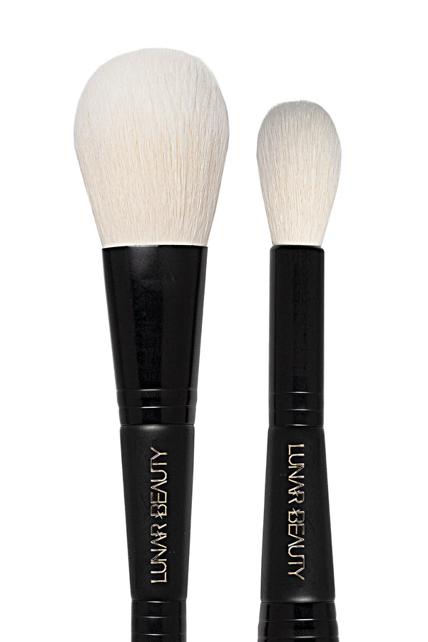 Dual Ended Brush
